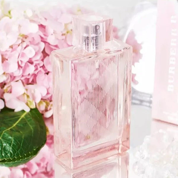 Burberry Brit Sheer For Her 100ml Eau De Toilette Spray - Image 3