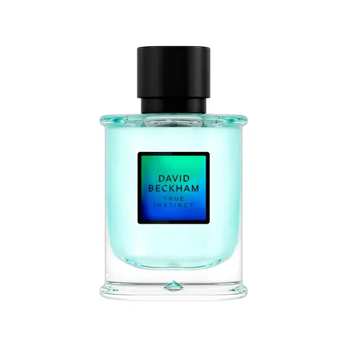 David Beckham True Instinct 75ml Eau De Parfum Spray - Image 2