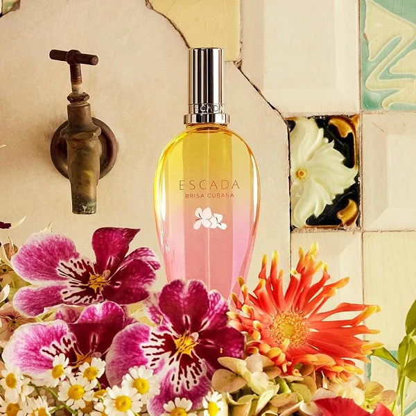 Escada Brisa Cubana Limited Edition 50ml Eau De Toilette Spray - Image 5