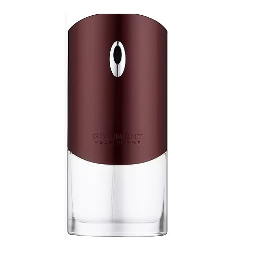 Givenchy Pour Homme 100ml Eau de Toilette Spray - Image 2