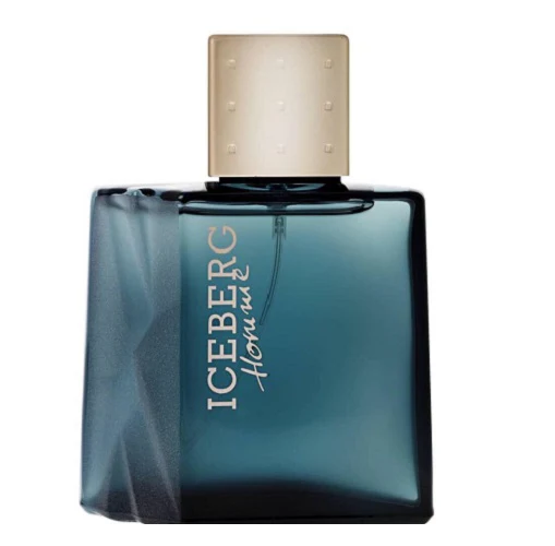 Iceberg Homme 100ml Eau De Toilette Spray - Image 2