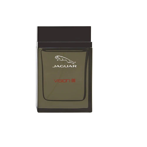 Jaguar Vision III For Men 100ml Eau de Toilette Spray - Image 2